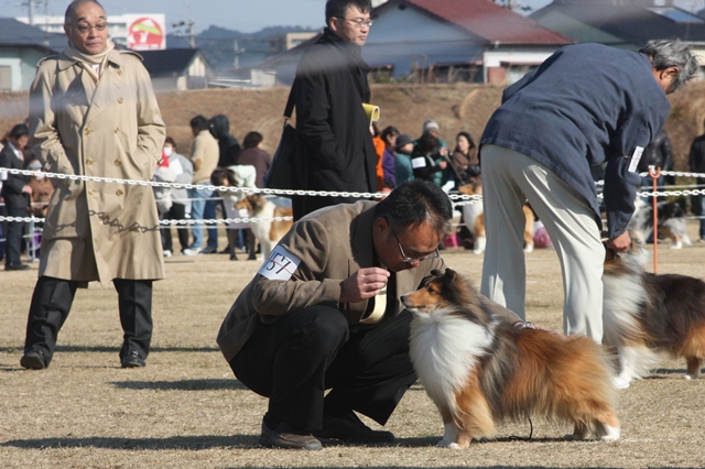 IMG_2514 - コピー.JPG