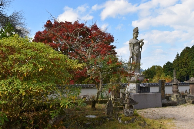 胎蔵寺