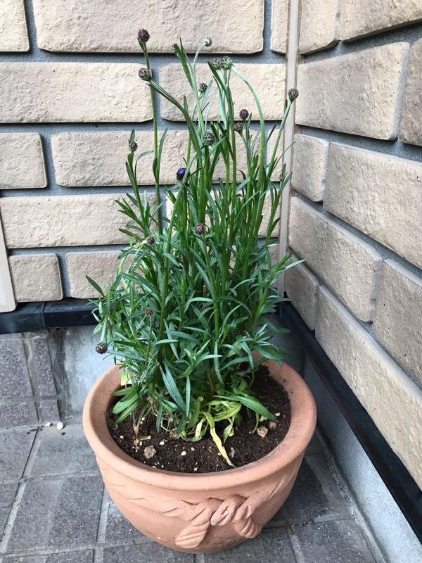 rblog-20190324174746-05.jpg