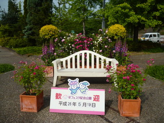 P1190185.jpg