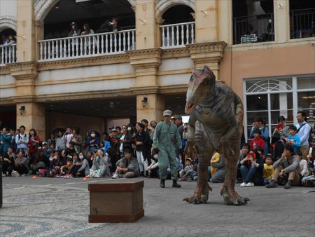 ラグーナ　ラグナシア