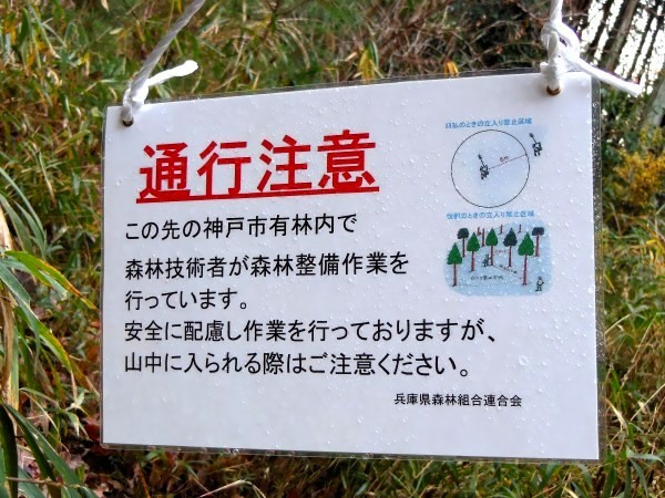 防災林