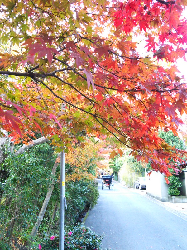 2013紅葉05.jpg