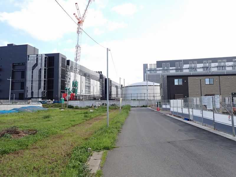 ヤギが草を食べる - Google Inzai Data Center の近景