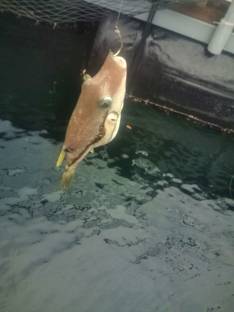 20120804100150.jpg