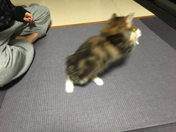 rblog-20180102072334-01.jpg