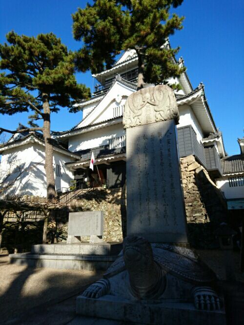 1月1日のお出かけ その7 岡崎城 かりんママの広く浅く 楽天ブログ