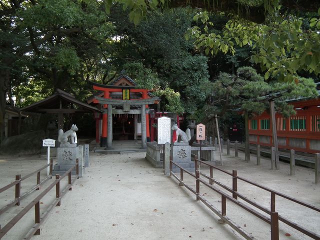 DSCF1679.JPG
