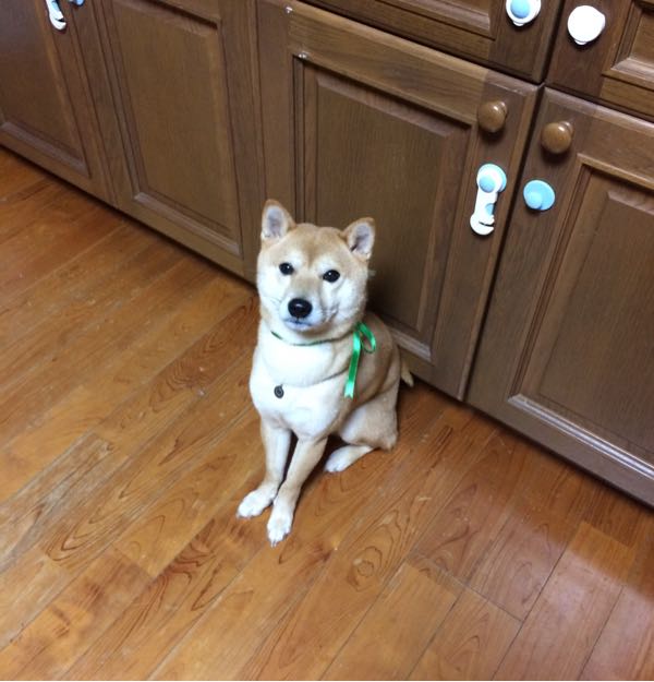 rblog-20170101233120-02.jpg