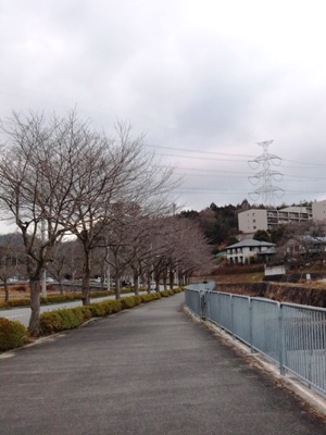 kawainagawa2.jpg