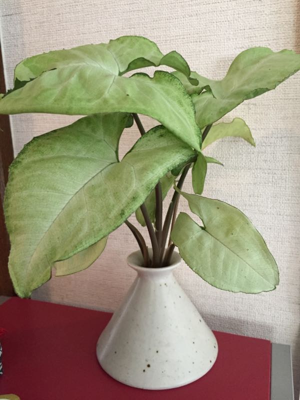 rblog-20160905130038-06.jpg