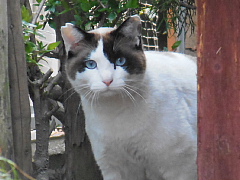 conv0705.JPG