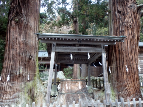 三本杉