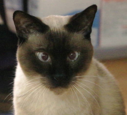 20160222ｶﾞﾝ02.jpg