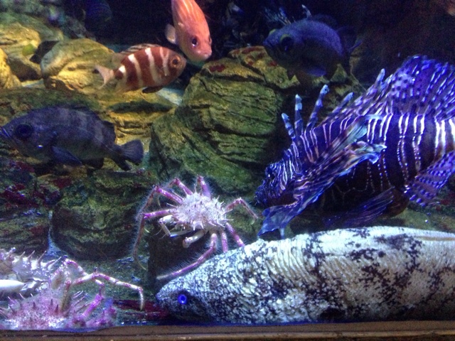 rblog-20130725122653-01.jpg