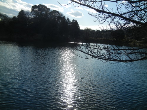 三ツ池公園にて