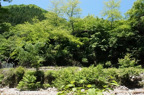 DSC08778.JPG