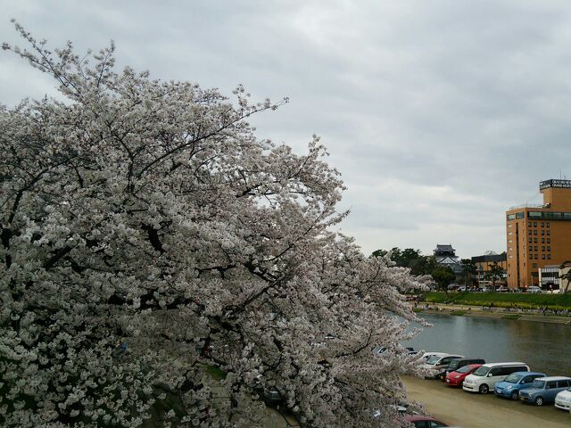 rblog-20140402225653-00.jpg