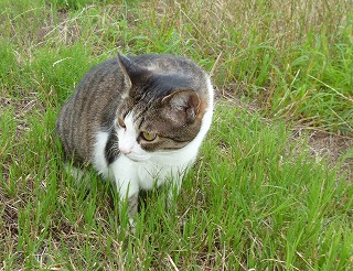 P1070348-ass.jpg