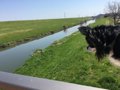 180325橋を渡って