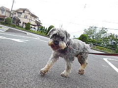 conv0005.JPG