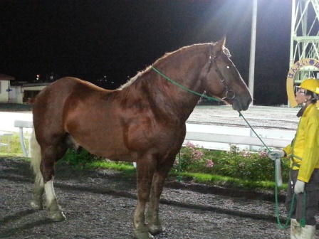 20150914_202734.jpg