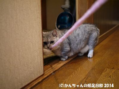 P1030332.jpg