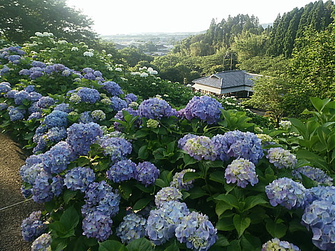 IMG_20160602_180054.jpg
