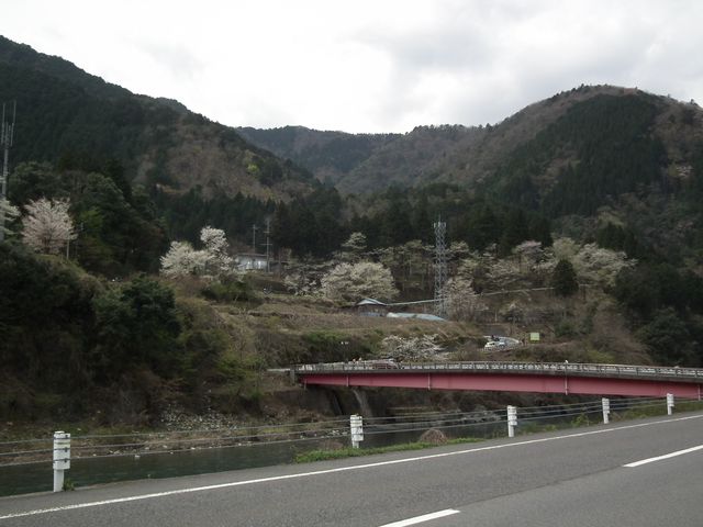 DSCF3712.JPG