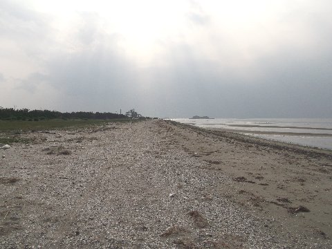 富津岬砂浜4.jpg
