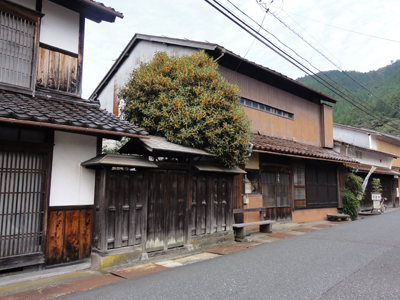 備前街道の金木犀