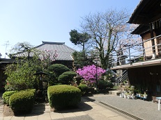 CIMG0120.JPG