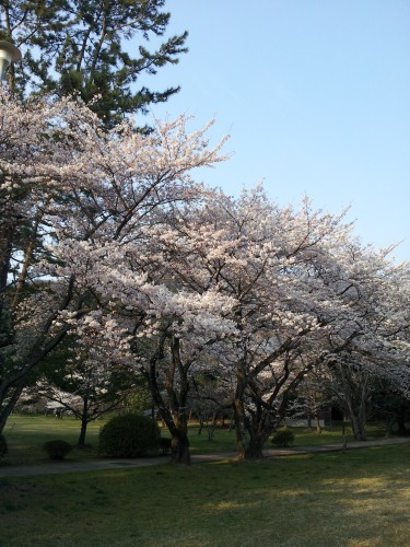 20120408_165611.jpg