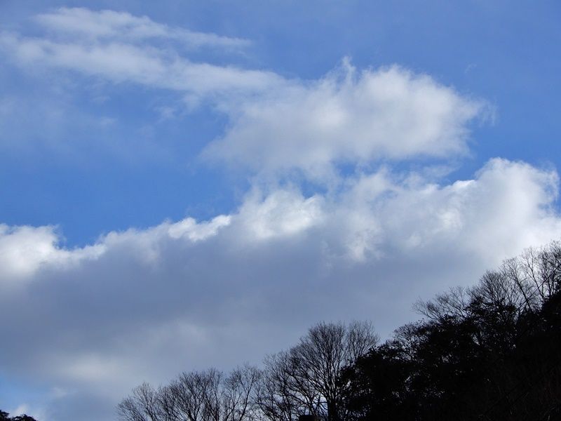 空2
