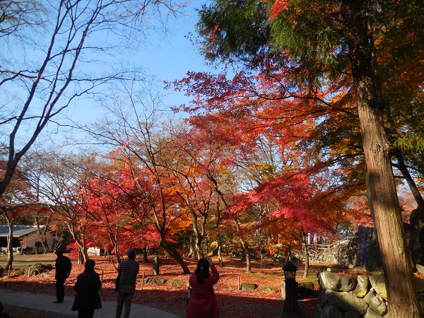 DSCN9336.jpg