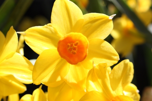 20160321007.JPG