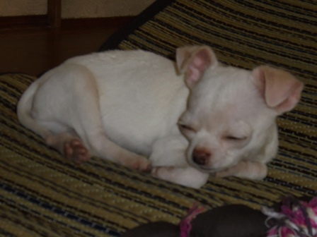 DSC01285.JPG