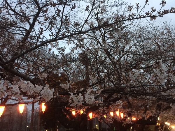 rblog-20160325184246-02.jpg