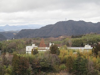 IMG_9460ss.jpg