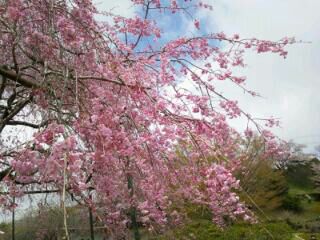 rblog-20140402120005-03.jpg