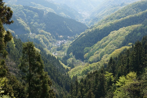 DSC04054.JPG