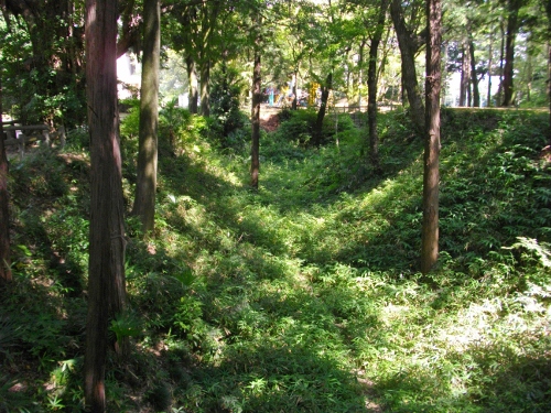 小山城馬出空堀 (500x375).jpg