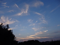 2016_0618_185821-P6180091-5.jpg