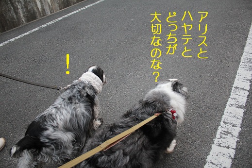 ひいい