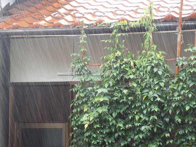 雨降った