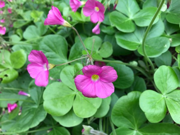 rblog-20181023165118-05.jpg