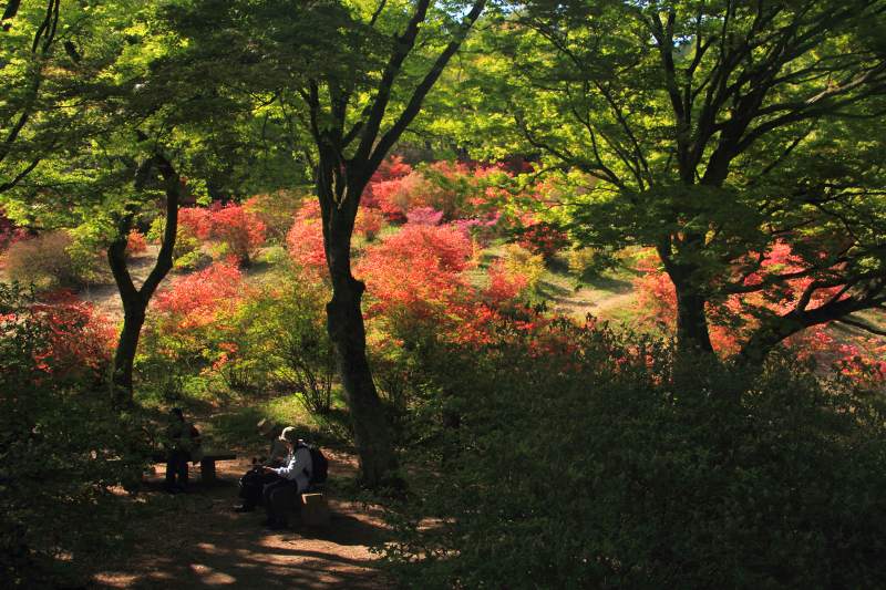 鳥見山_7-2.jpg