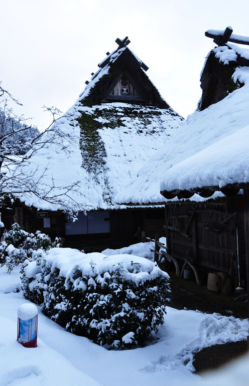 雪６