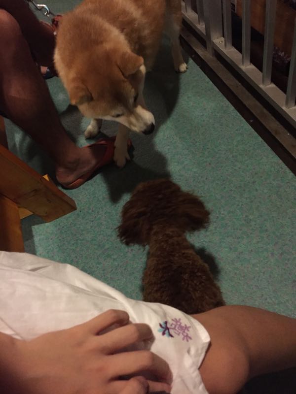 rblog-20160821215505-03.jpg