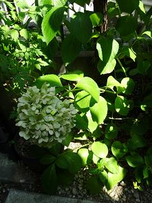DSC01190.JPG
